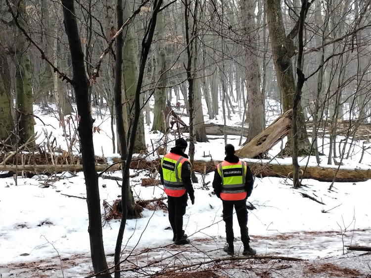 Fokozott polgárőri jelenlét a Kőszegi-hegységben